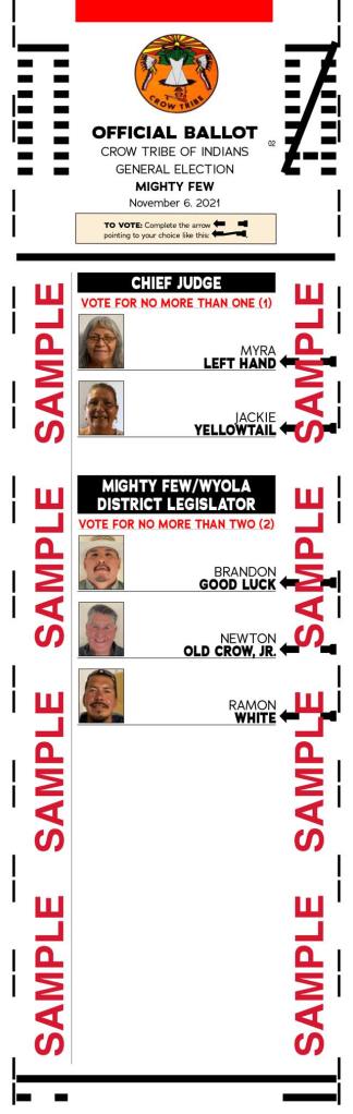 Sample ballot for the Mighty Few District.