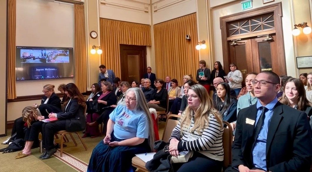 The Senate Public Health and Human Safety committee hears the Montana Indian Child Welfare Act, House Bill 317, on Wednesday, March 22, 2023 in Helena, Montana. / JoVonne Wagner, Montana Free Press