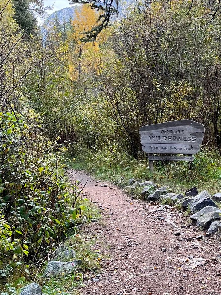 Greenery surrounds the entrance to the Weminuche Wilderness northeast of Durango, CO. / Photo by David Marston